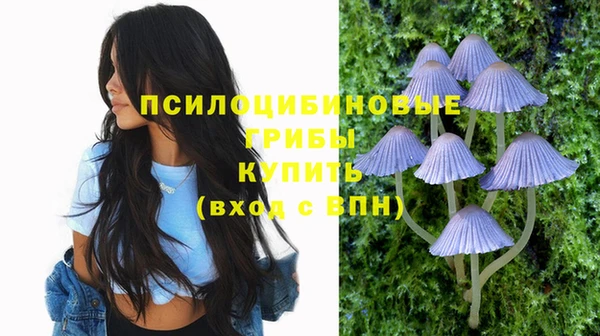 прущие грибы Костерёво
