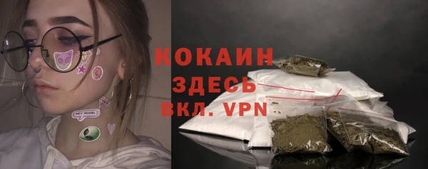 гидра Козловка