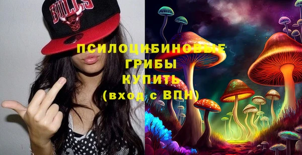 меф Корсаков