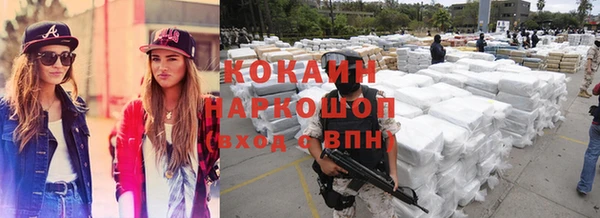 прущие грибы Костерёво