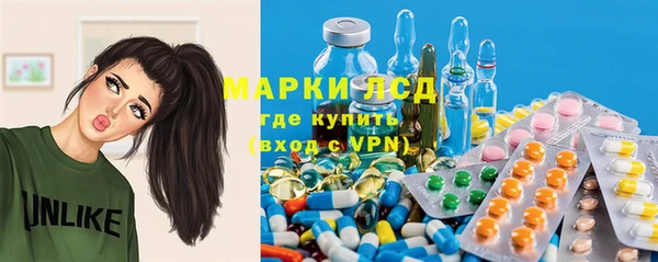 прущие грибы Костерёво