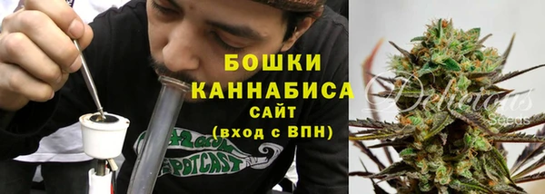 прущие грибы Костерёво